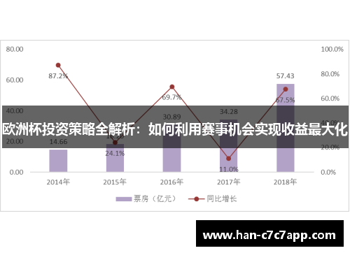 欧洲杯投资策略全解析：如何利用赛事机会实现收益最大化