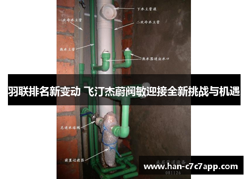 羽联排名新变动 飞汀杰蔚阀敏迎接全新挑战与机遇