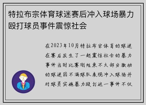 特拉布宗体育球迷赛后冲入球场暴力殴打球员事件震惊社会