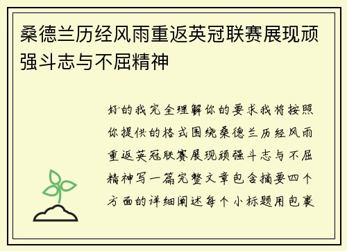 桑德兰历经风雨重返英冠联赛展现顽强斗志与不屈精神 桑德兰历经风雨重返英冠联赛展现顽强斗志与不屈精神